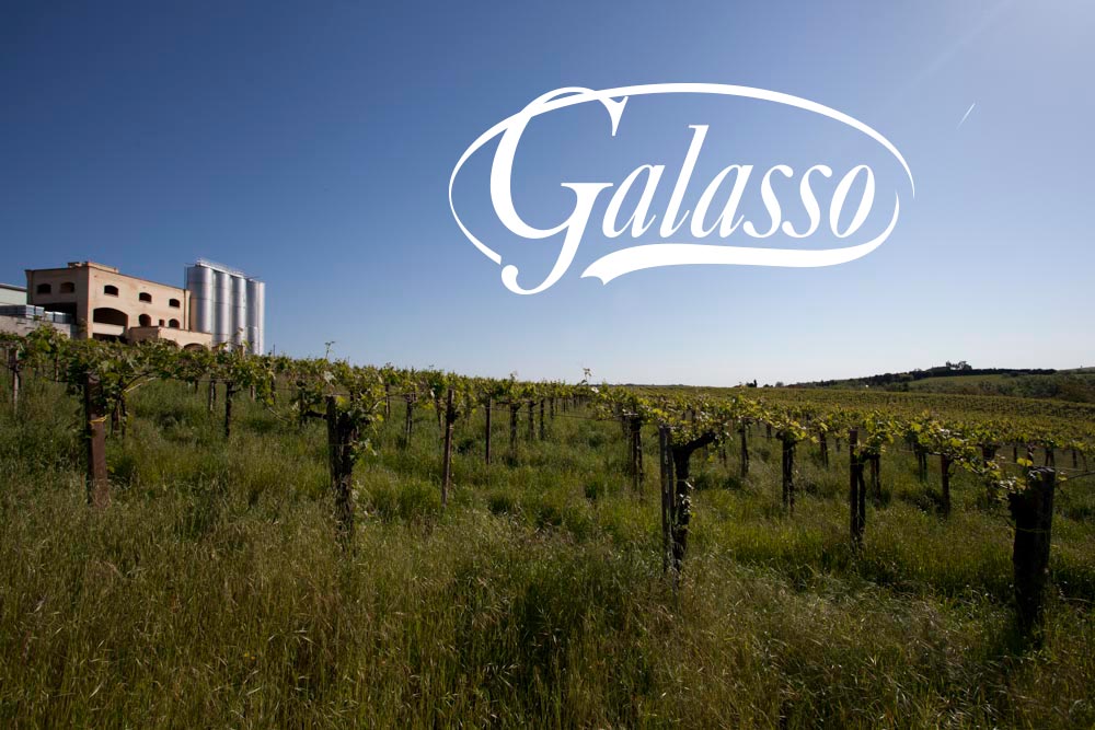 vini cantine galasso